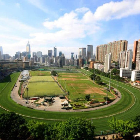 Delivery to Happy Valley Training Ground