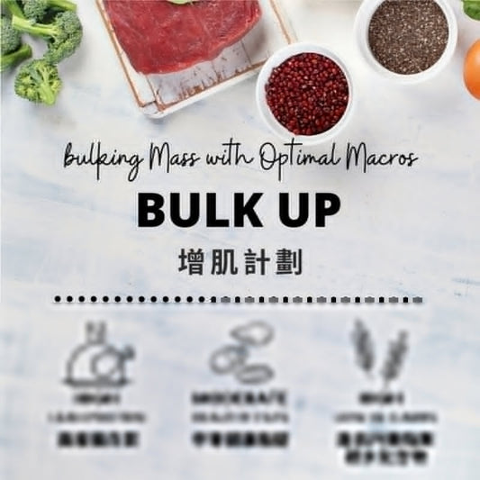 Bulk Up